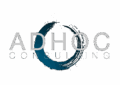 www.adhocconsulting.ch