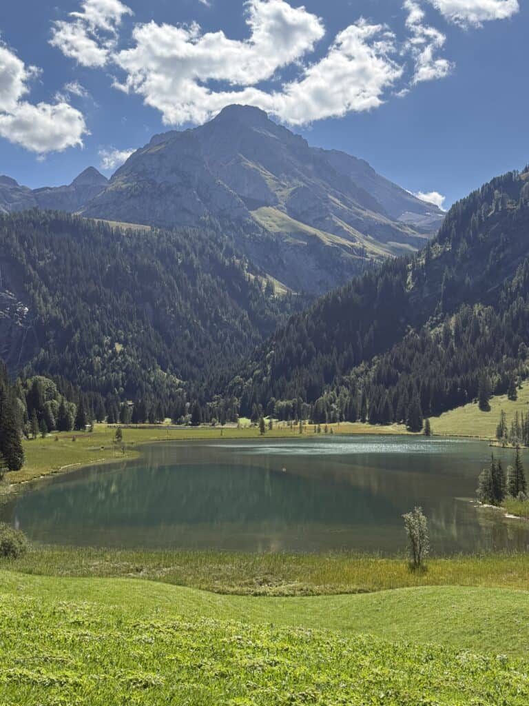 Gstaad Landscape